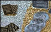 [ Northern Refineries - Silver & Gold Bars & Coins ]